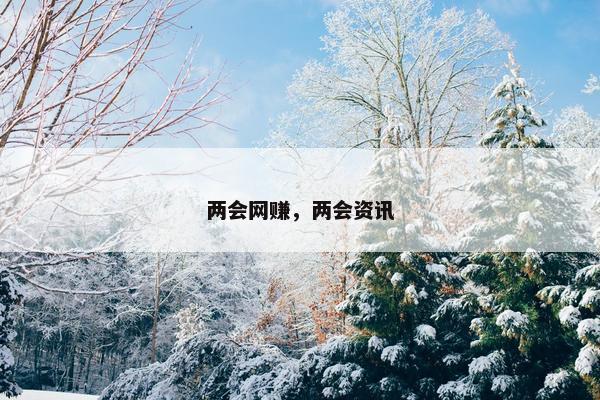 两会网赚，两会资讯