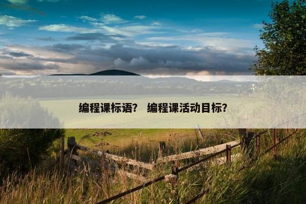 编程课标语？ 编程课活动目标？