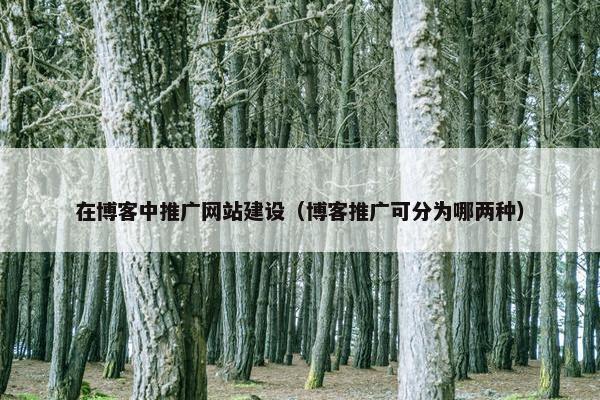 在博客中推广网站建设（博客推广可分为哪两种）