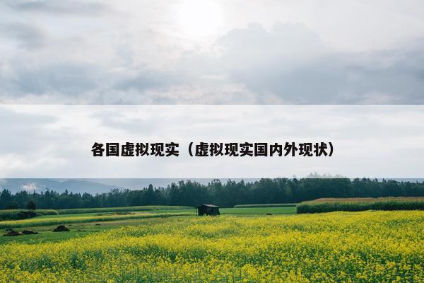 各国虚拟现实（虚拟现实国内外现状）