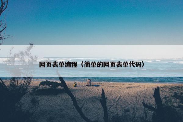 网页表单编程（简单的网页表单代码）