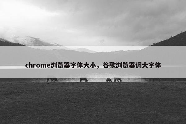 chrome浏览器字体大小，谷歌浏览器调大字体