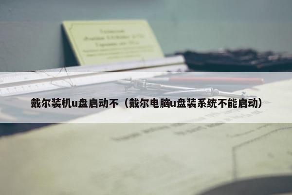 戴尔装机u盘启动不（戴尔电脑u盘装系统不能启动）