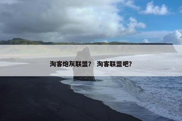 淘客炮灰联盟？ 淘客联盟吧？