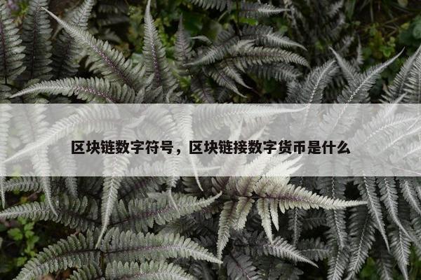 区块链数字符号，区块链接数字货币是什么