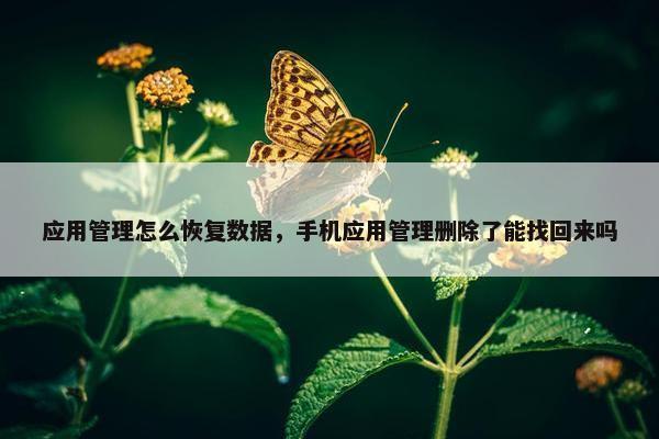 应用管理怎么恢复数据，手机应用管理删除了能找回来吗