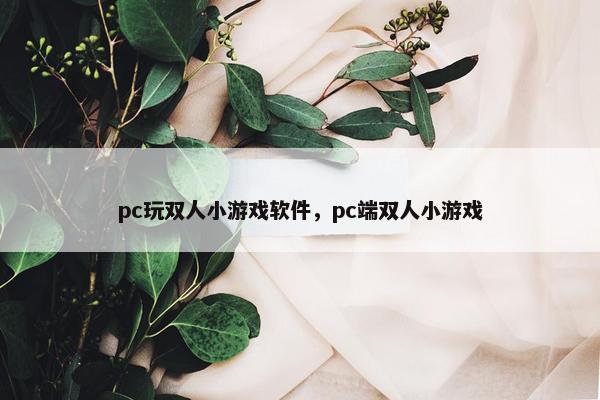 pc玩双人小游戏软件，pc端双人小游戏