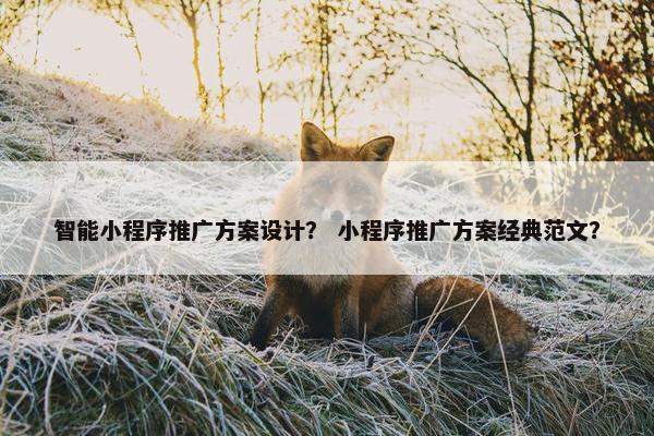 智能小程序推广方案设计？ 小程序推广方案经典范文？
