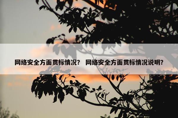 网络安全方面贯标情况？ 网络安全方面贯标情况说明？