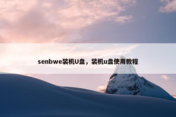 senbwe装机U盘，装机u盘使用教程