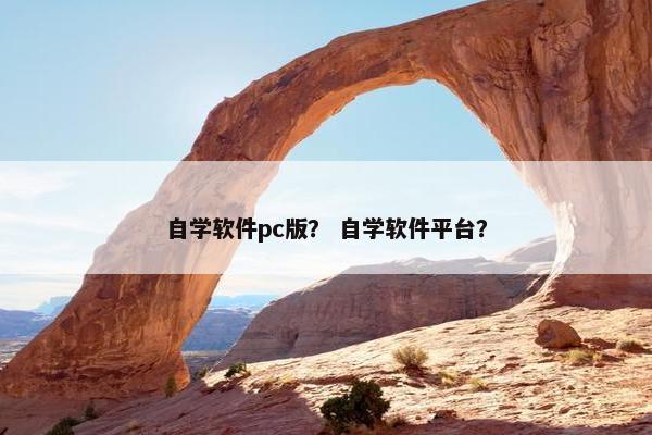 自学软件pc版？ 自学软件平台？
