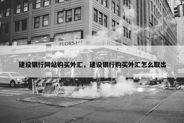 建设银行网站购买外汇，建设银行购买外汇怎么取出