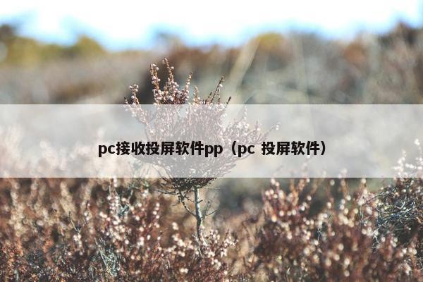 pc接收投屏软件pp（pc 投屏软件）