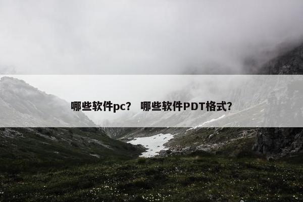 哪些软件pc？ 哪些软件PDT格式？