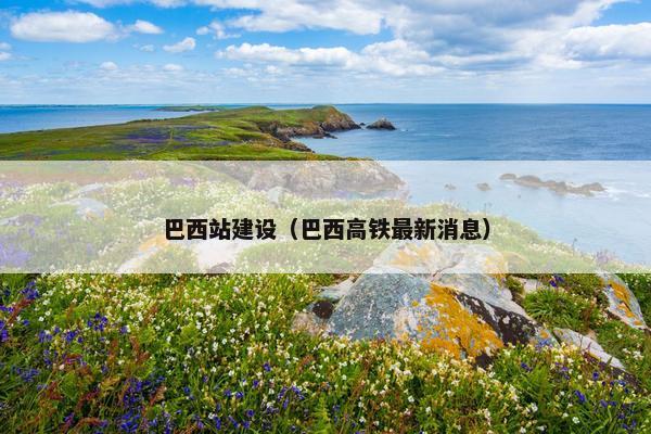 巴西站建设（巴西高铁最新消息）