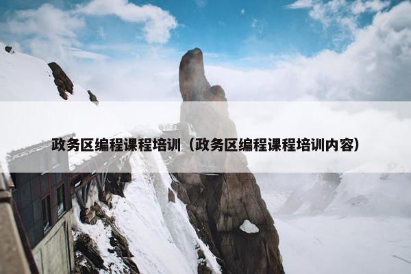 政务区编程课程培训（政务区编程课程培训内容）