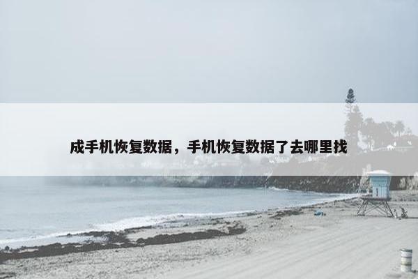 成手机恢复数据，手机恢复数据了去哪里找