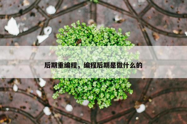 后期重编程，编程后期是做什么的