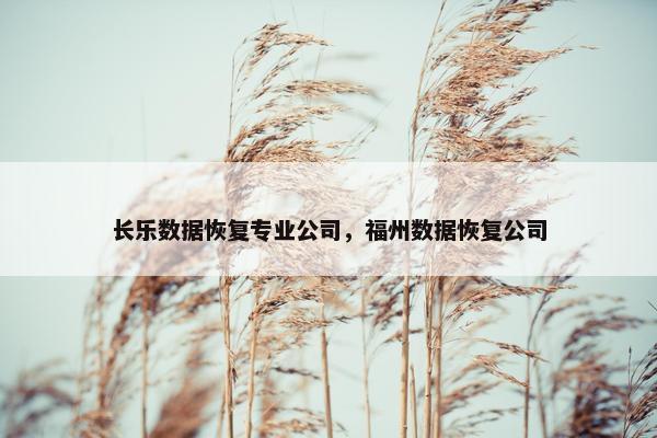 长乐数据恢复专业公司，福州数据恢复公司