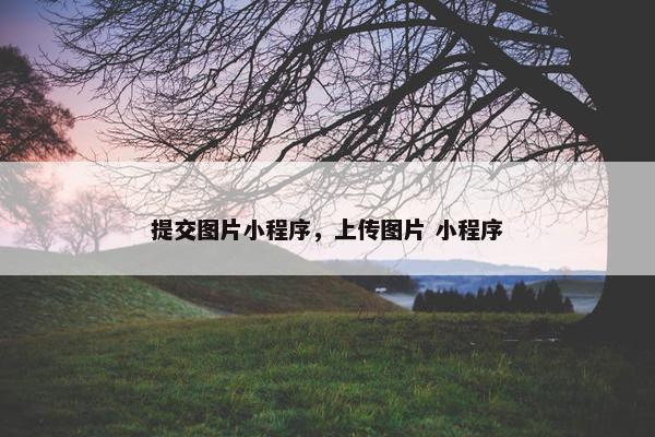提交图片小程序，上传图片 小程序