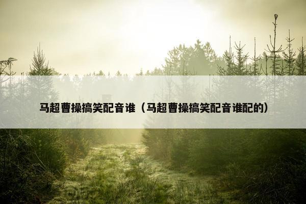 马超曹操搞笑配音谁（马超曹操搞笑配音谁配的）