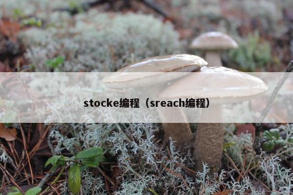 stocke编程（sreach编程）