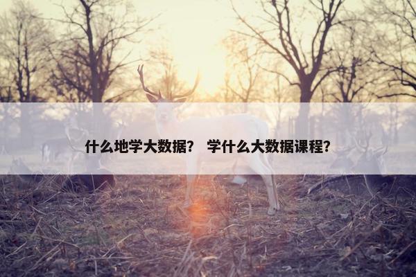 什么地学大数据？ 学什么大数据课程？