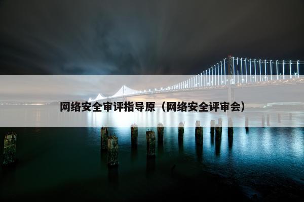网络安全审评指导原（网络安全评审会）