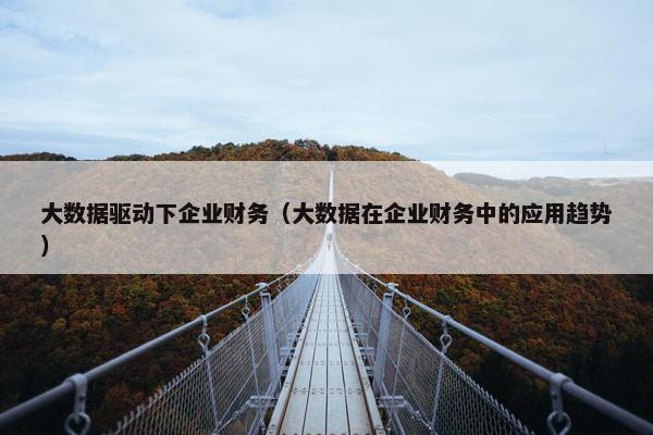 大数据驱动下企业财务（大数据在企业财务中的应用趋势）