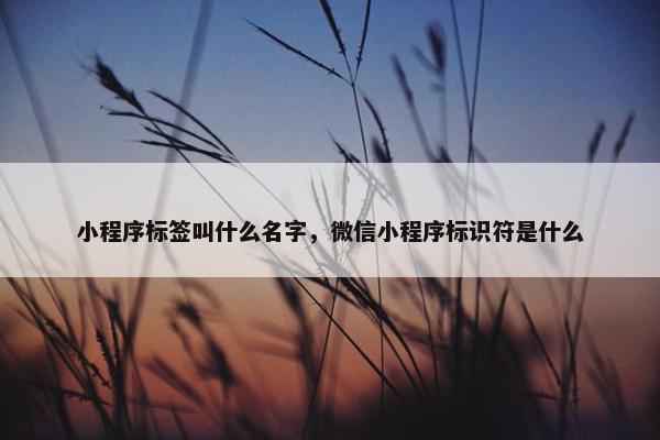 小程序标签叫什么名字，微信小程序标识符是什么