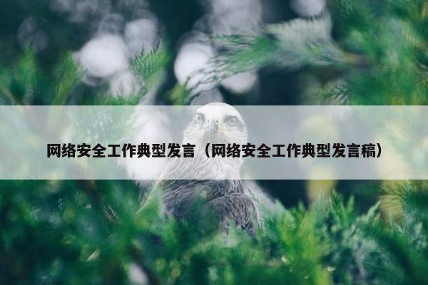 网络安全工作典型发言（网络安全工作典型发言稿）