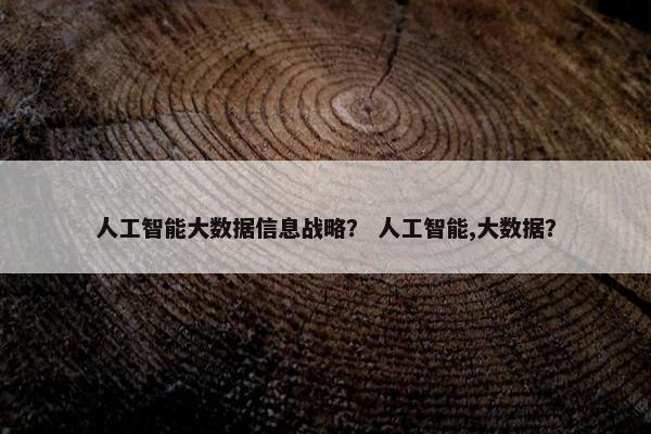 人工智能大数据信息战略？ 人工智能,大数据？