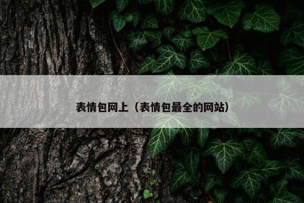 表情包网上（表情包最全的网站）