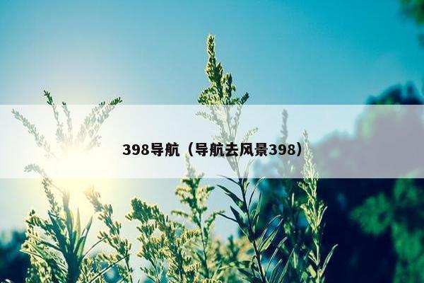 398导航（导航去风景398）