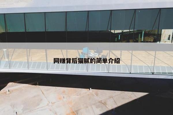 网赚背后猫腻的简单介绍