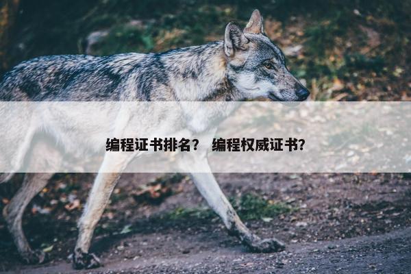编程证书排名？ 编程权威证书？