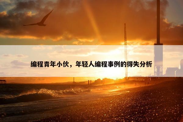 编程青年小伙，年轻人编程事例的得失分析