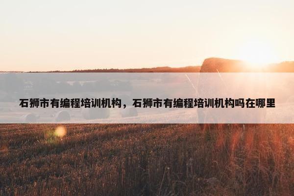石狮市有编程培训机构，石狮市有编程培训机构吗在哪里