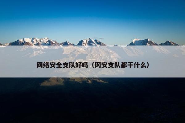 网络安全支队好吗（网安支队都干什么）