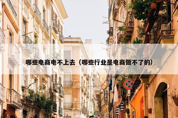 哪些电商电不上去（哪些行业是电商做不了的）