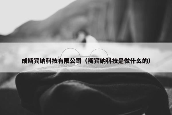 成斯宾纳科技有限公司（斯宾纳科技是做什么的）