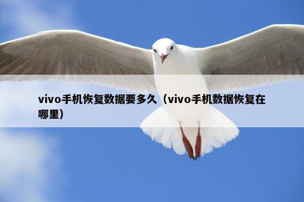 vivo手机恢复数据要多久（vivo手机数据恢复在哪里）