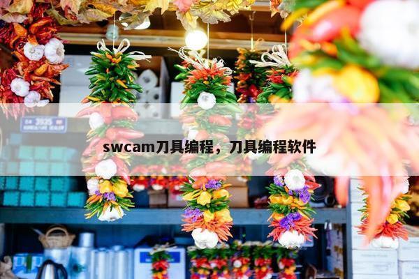 swcam刀具编程，刀具编程软件