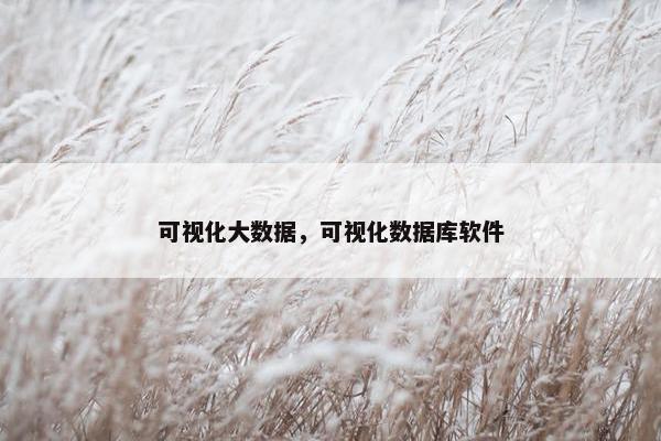 可视化大数据，可视化数据库软件
