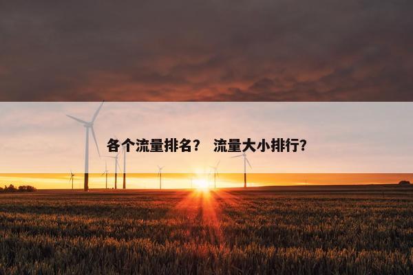 各个流量排名？ 流量大小排行？