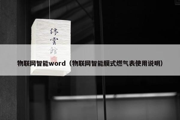物联网智能word（物联网智能膜式燃气表使用说明）