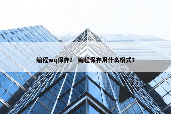 编程wq保存？ 编程保存用什么格式？