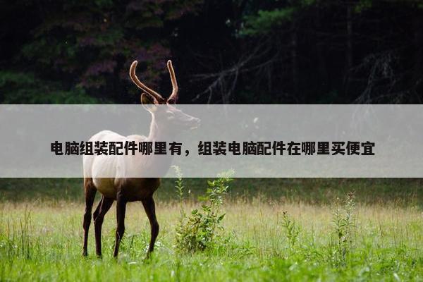电脑组装配件哪里有,组装电脑配件在哪里买便宜 电脑组装配件哪里有,组装电脑配件在哪里买便宜