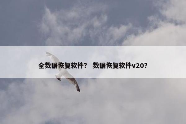 全数据恢复软件？ 数据恢复软件v20？