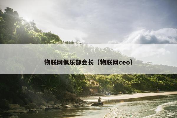 物联网俱乐部会长（物联网ceo）